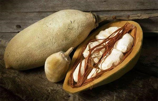 baobab fruit 