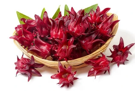 roselleflower
