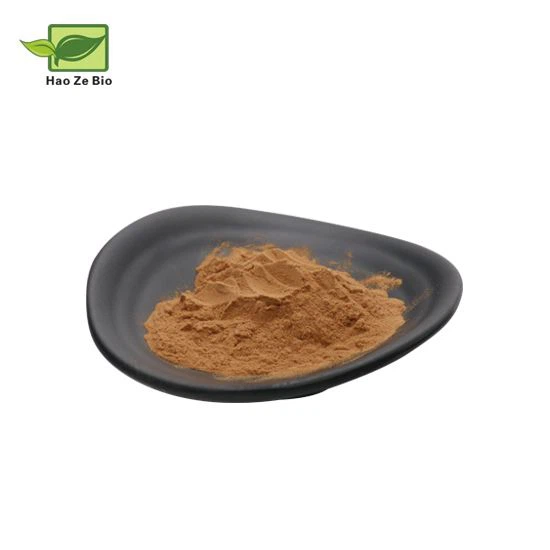 schisandra-extract-powder