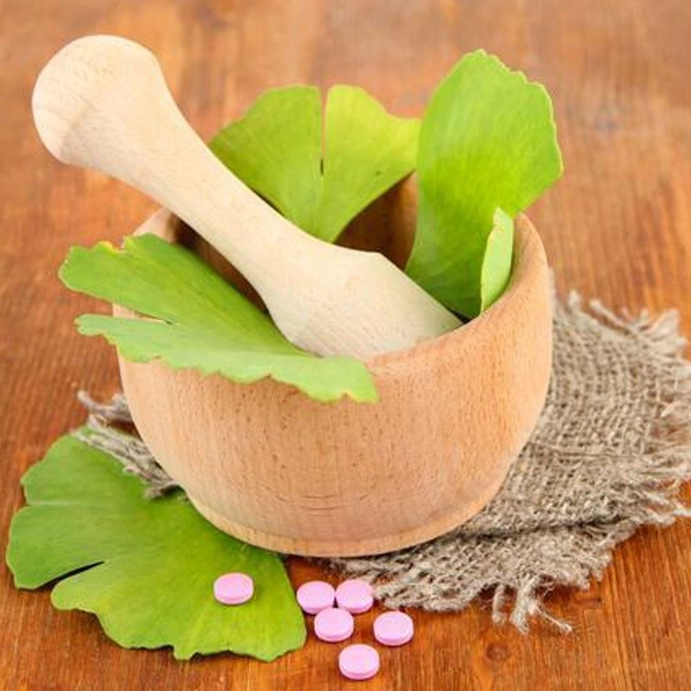 Beneficio del extracto de Ginkgo Biloba